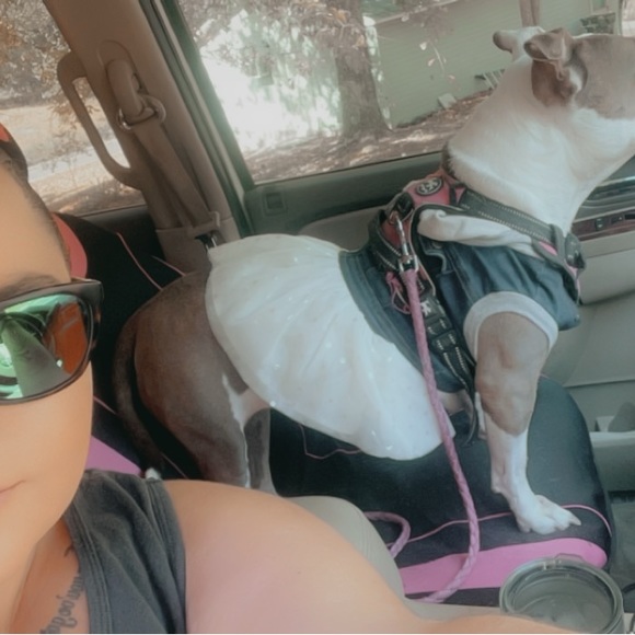 ❤️ Back Up Live Show Flyer - Picture 4 of 5